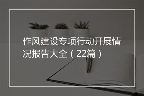 作风建设专项行动开展情况报告大全（22篇）