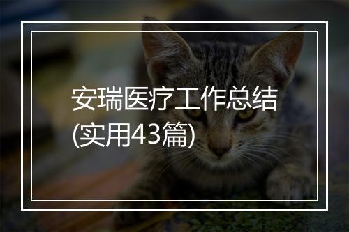 安瑞医疗工作总结(实用43篇)