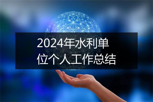 2024年水利单位个人工作总结