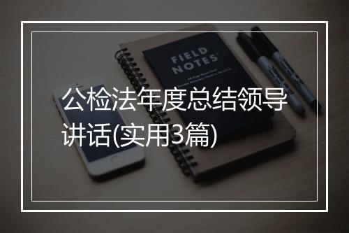 公检法年度总结领导讲话(实用3篇)