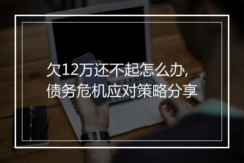 欠12万还不起怎么办,债务危机应对策略分享