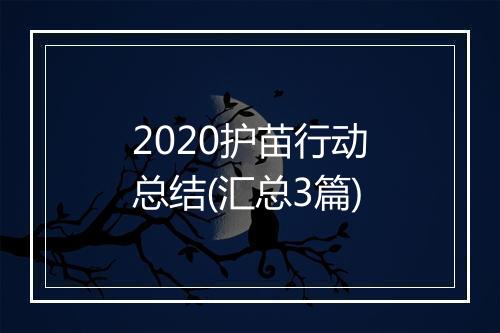 2020护苗行动总结(汇总3篇)