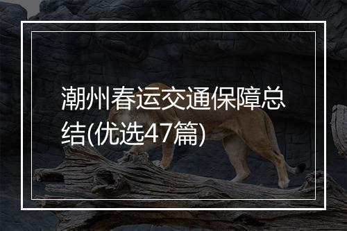 潮州春运交通保障总结(优选47篇)