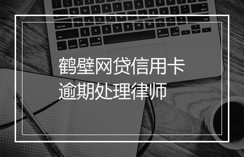 鹤壁网贷信用卡逾期处理律师