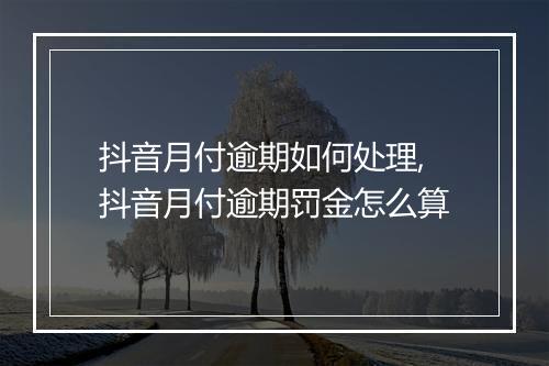抖音月付逾期如何处理,抖音月付逾期罚金怎么算