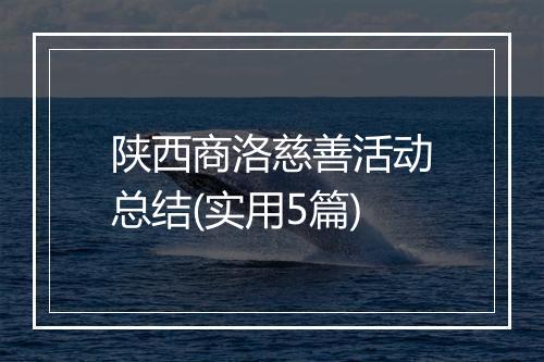 陕西商洛慈善活动总结(实用5篇)
