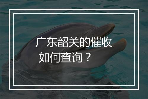 广东韶关的催收 如何查询？