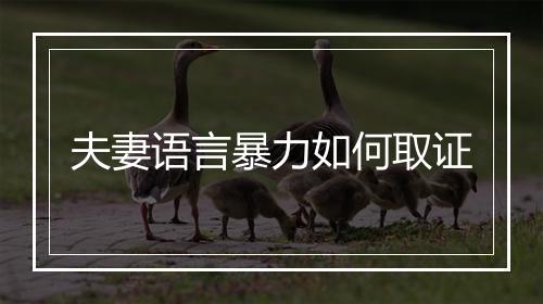 夫妻语言暴力如何取证