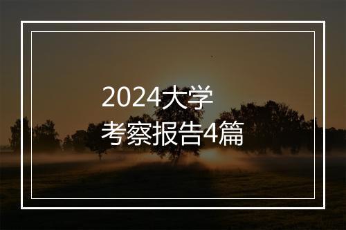 2024大学考察报告4篇