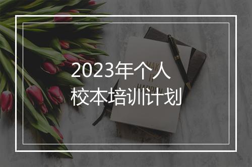 2023年个人校本培训计划