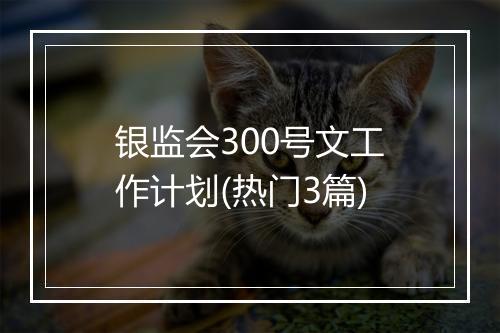 银监会300号文工作计划(热门3篇)