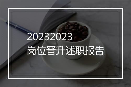 20232023岗位晋升述职报告