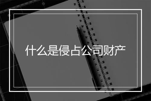 什么是侵占公司财产