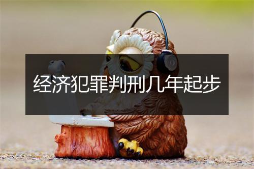 经济犯罪判刑几年起步