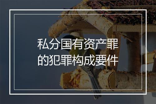 私分国有资产罪的犯罪构成要件
