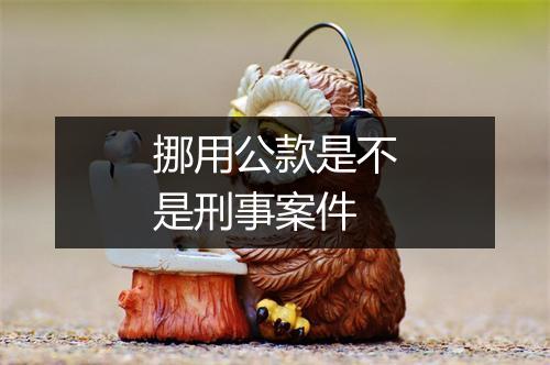 挪用公款是不是刑事案件