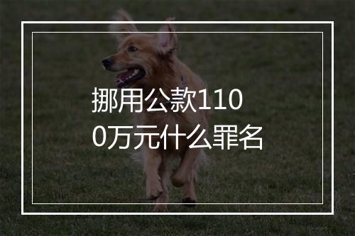 挪用公款1100万元什么罪名