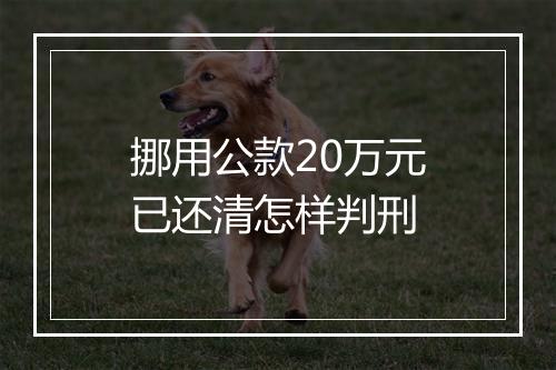 挪用公款20万元已还清怎样判刑