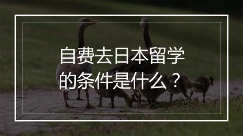 自费去日本留学的条件是什么？