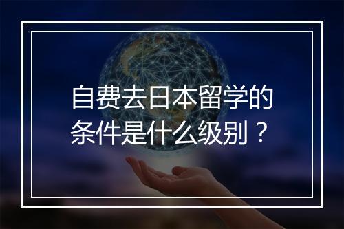 自费去日本留学的条件是什么级别？