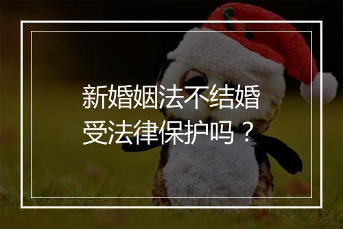 新婚姻法不结婚受法律保护吗？
