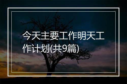 今天主要工作明天工作计划(共9篇)
