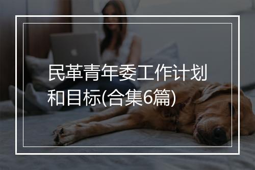 民革青年委工作计划和目标(合集6篇)