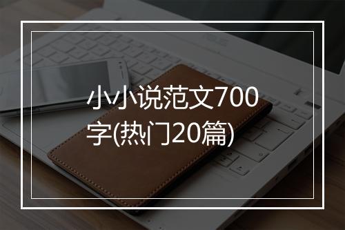 小小说范文700字(热门20篇)