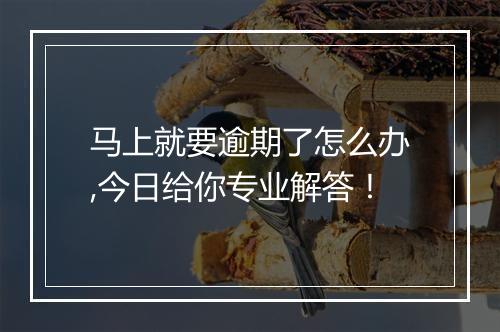 马上就要逾期了怎么办,今日给你专业解答！