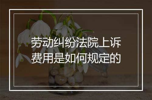 劳动纠纷法院上诉费用是如何规定的