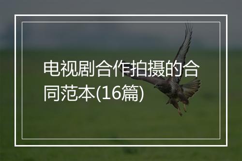 电视剧合作拍摄的合同范本(16篇)