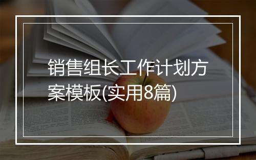销售组长工作计划方案模板(实用8篇)