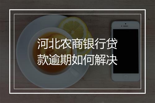 河北农商银行贷款逾期如何解决