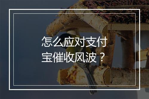 怎么应对支付宝催收风波？
