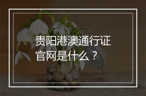 贵阳港澳通行证官网是什么？
