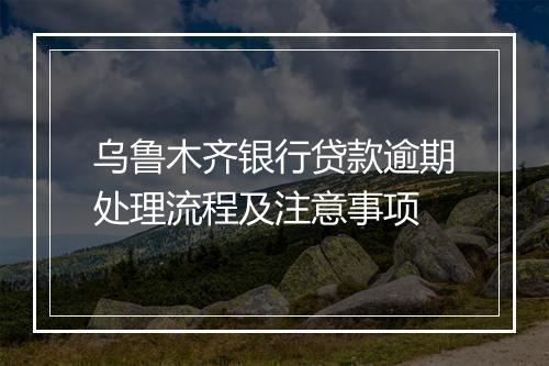 乌鲁木齐银行贷款逾期处理流程及注意事项