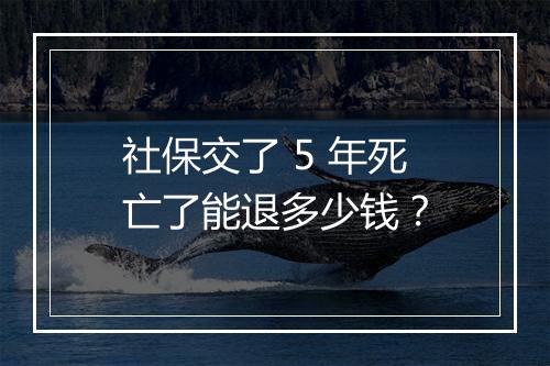 社保交了 5 年死亡了能退多少钱？