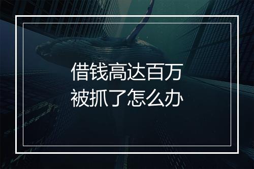 借钱高达百万被抓了怎么办