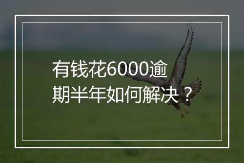 有钱花6000逾期半年如何解决？