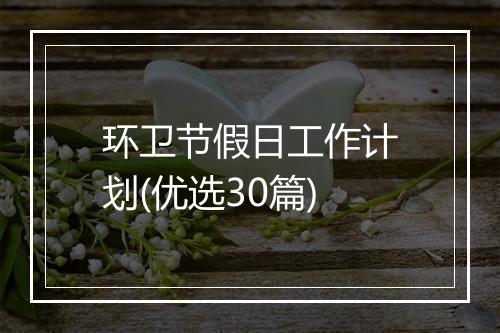 环卫节假日工作计划(优选30篇)