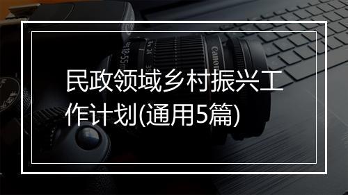 民政领域乡村振兴工作计划(通用5篇)