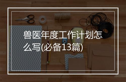 兽医年度工作计划怎么写(必备13篇)