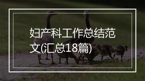 妇产科工作总结范文(汇总18篇)
