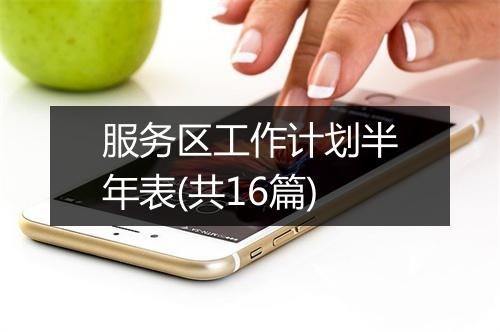 服务区工作计划半年表(共16篇)