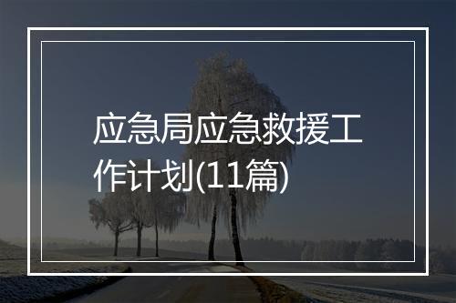 应急局应急救援工作计划(11篇)