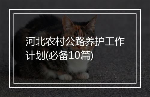 河北农村公路养护工作计划(必备10篇)