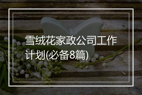 雪绒花家政公司工作计划(必备8篇)