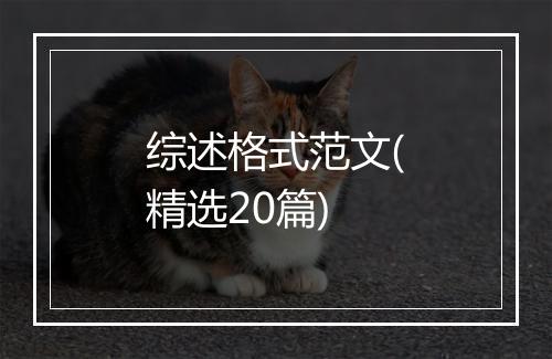 综述格式范文(精选20篇)