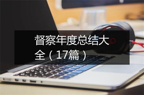 督察年度总结大全（17篇）
