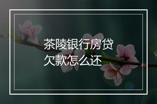 茶陵银行房贷欠款怎么还